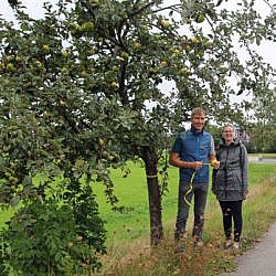 Bianca Faber von der Öko-Modellregion Obermain-Jura und Michael Stromer von der Umweltstation des Landkreises werben für das gelbe Band an Obstbäumen und für die Streuobst-Direktvermarkter am Obermain. Foto: Umweltstation Weismain