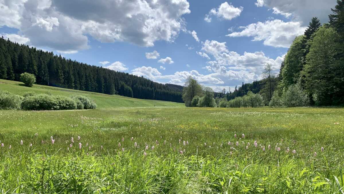 Der Naturpark Frankenwald stellt sich vor